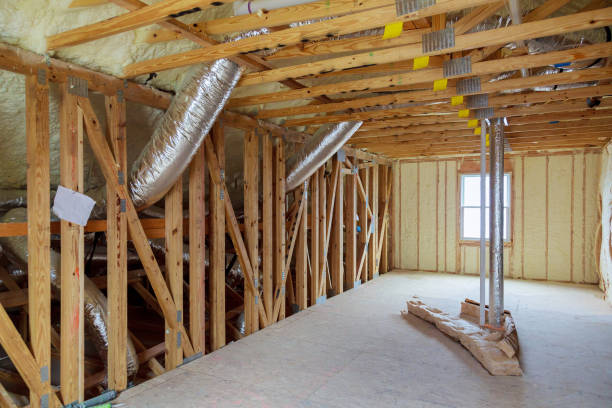 Best Eco-Friendly Insulation in Quitman, MS