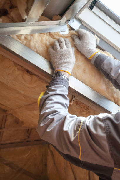 Professional Insulation Contractor in Quitman, MS