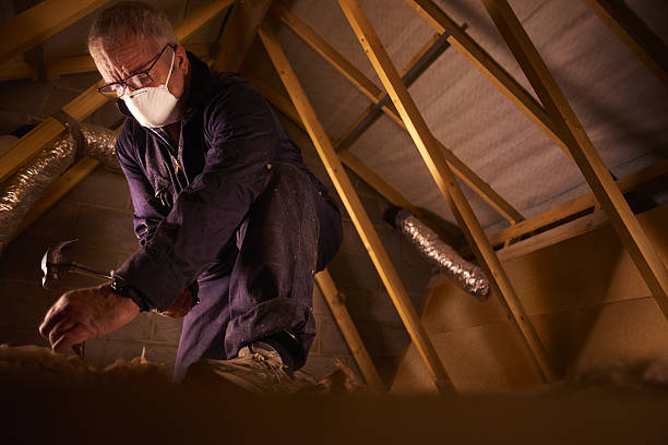 Best Spray Foam Insulation in Quitman, MS